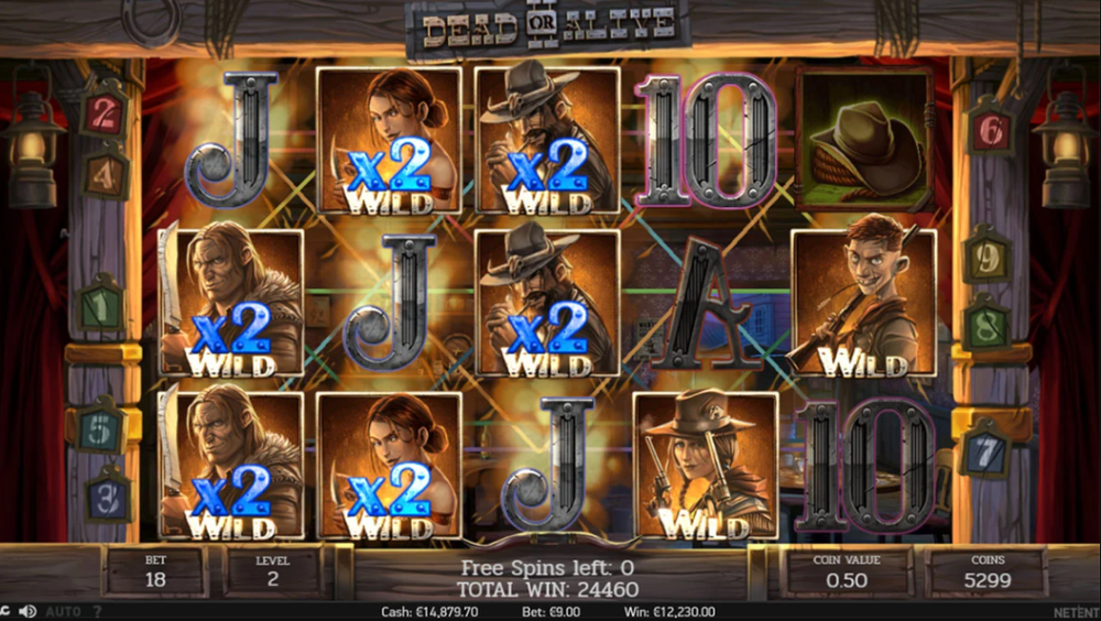 Dead or Alive 2 Slot